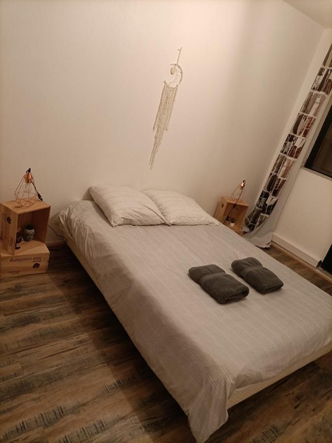 Tres Spacieux En Plein Coeur D'agen *